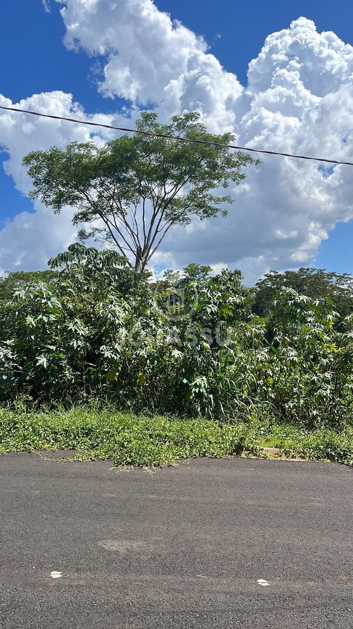 Terreno com 200m  no Ecoville l com fácil acesso à Avenida Tan...