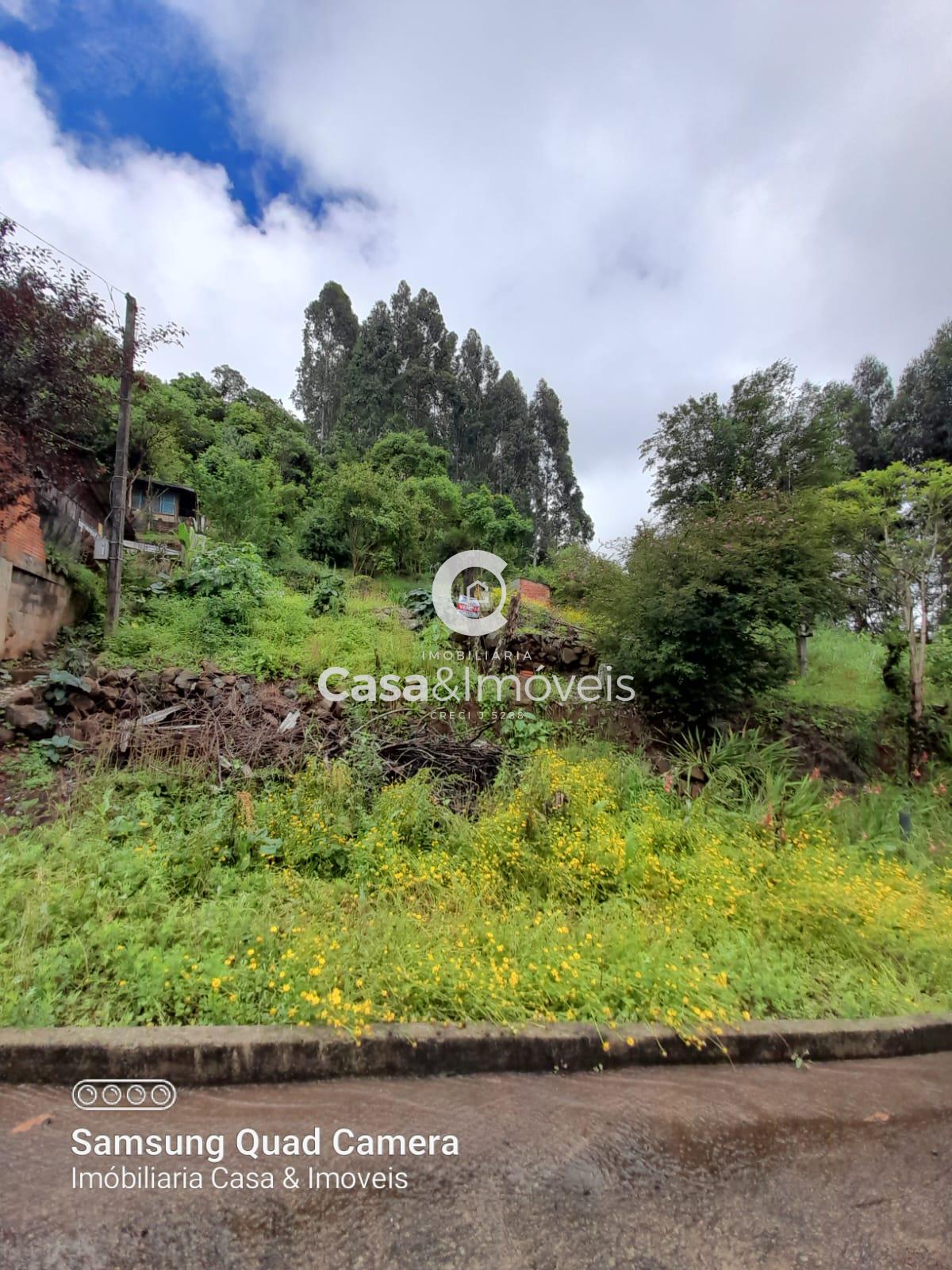 Terreno à venda, São Pedro, PORTO UNIAO - SC. Aceita propostas