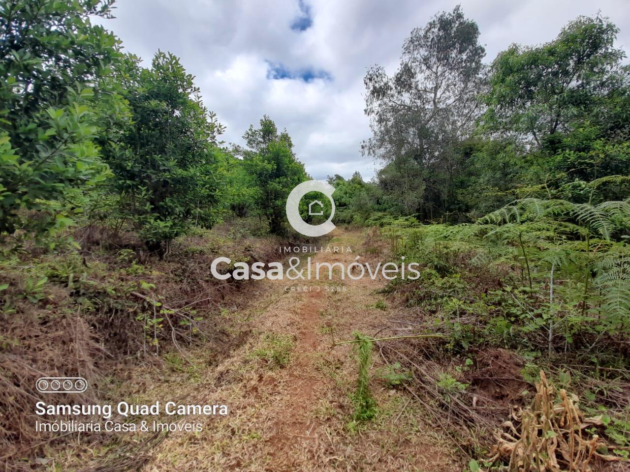 Chácara à venda, Colônia Nova Concórdia, CRUZ MACHADO - PR. Financiável