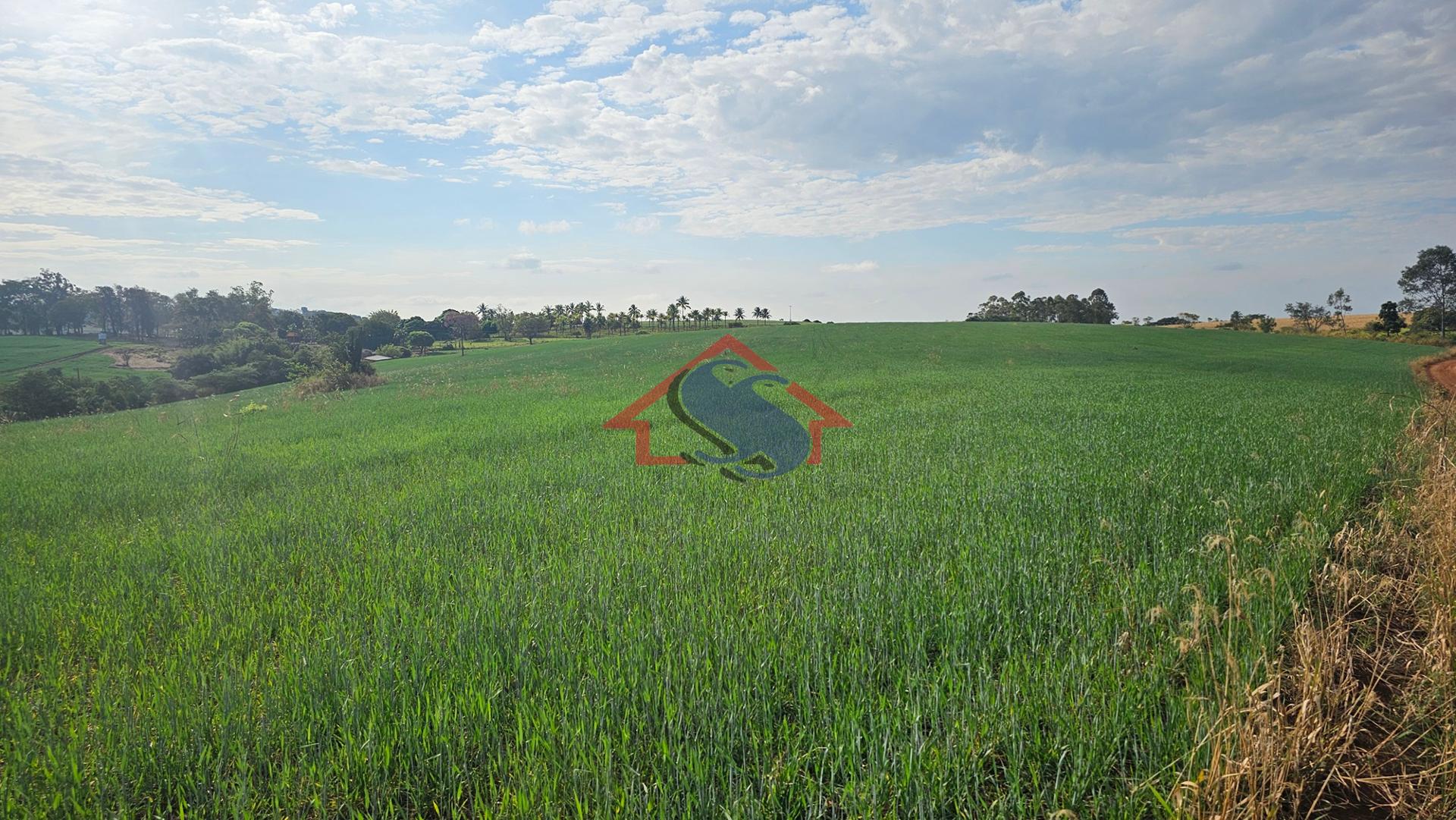 Sítio à venda, Zona Rural, Na região entre Urai e Jataizinho -...