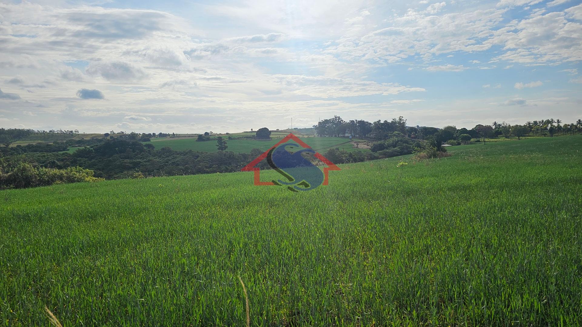 Sítio à venda, Zona Rural, Na região entre Urai e Jataizinho -...