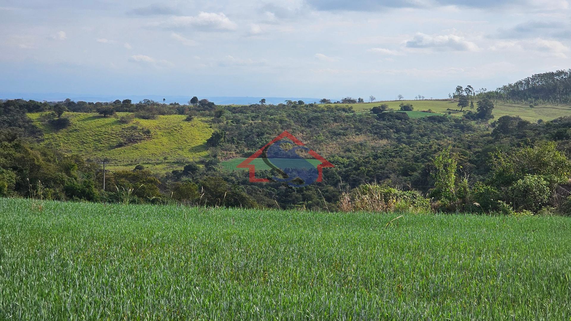 Sítio à venda, Zona Rural, Na região entre Urai e Jataizinho -...