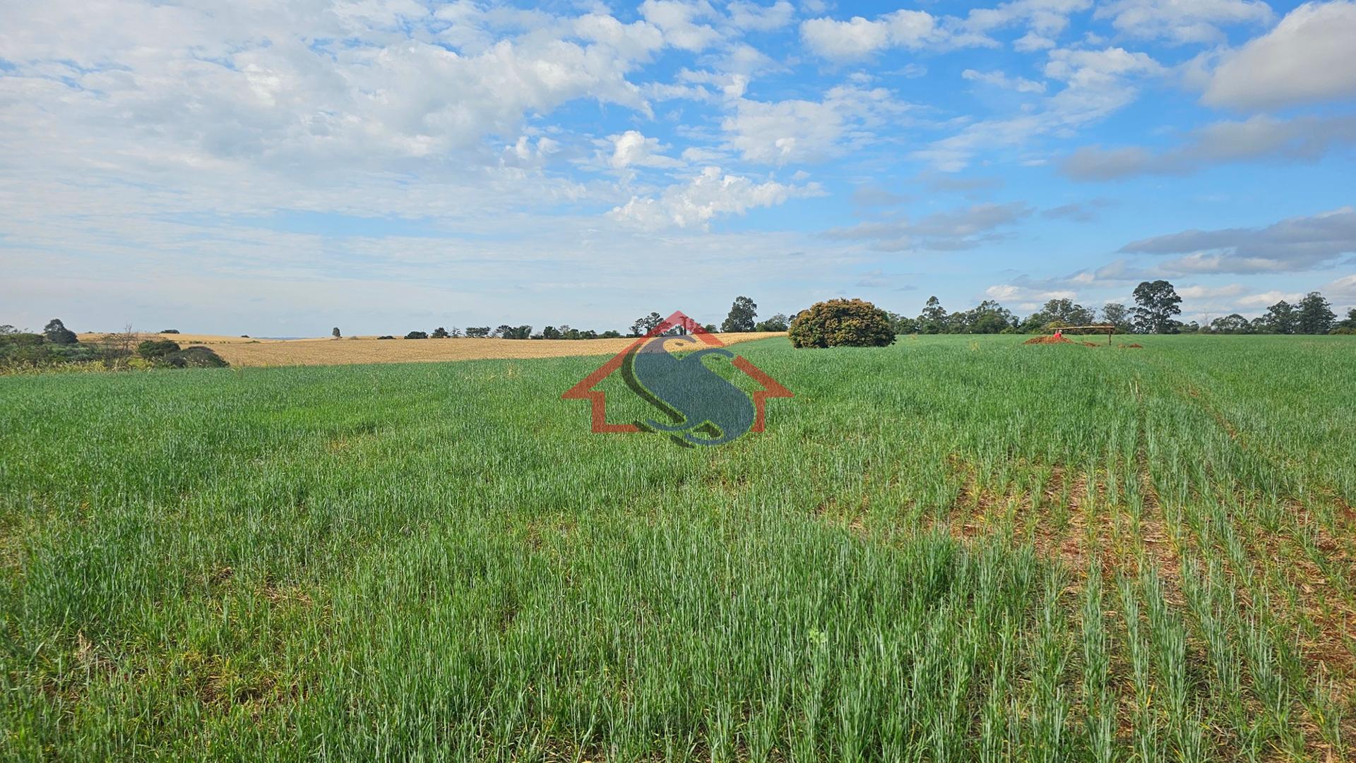 Sítio à venda com 5 alqueires na Zona Rural, URAI - PR