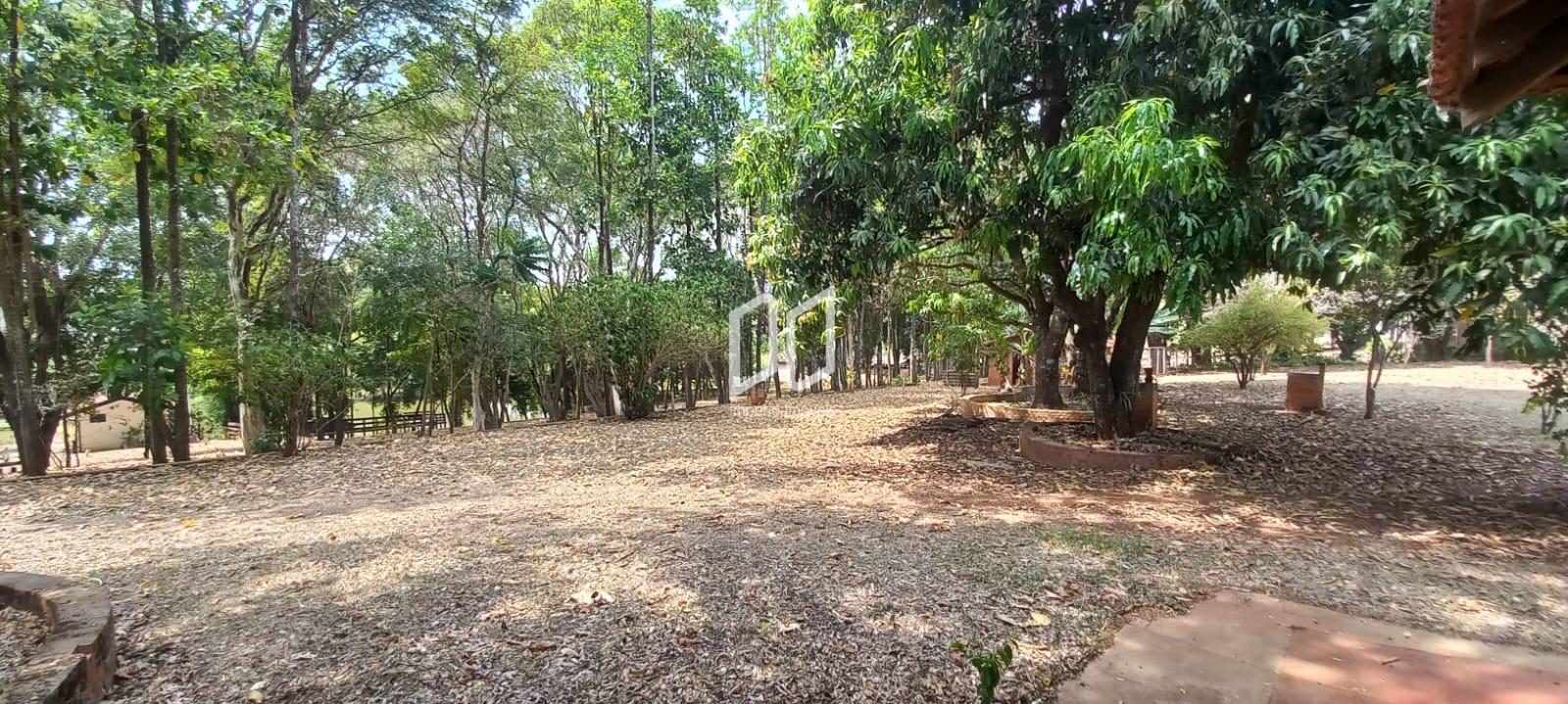 Fazenda à venda com 5 quartos, 800m² - Foto 10