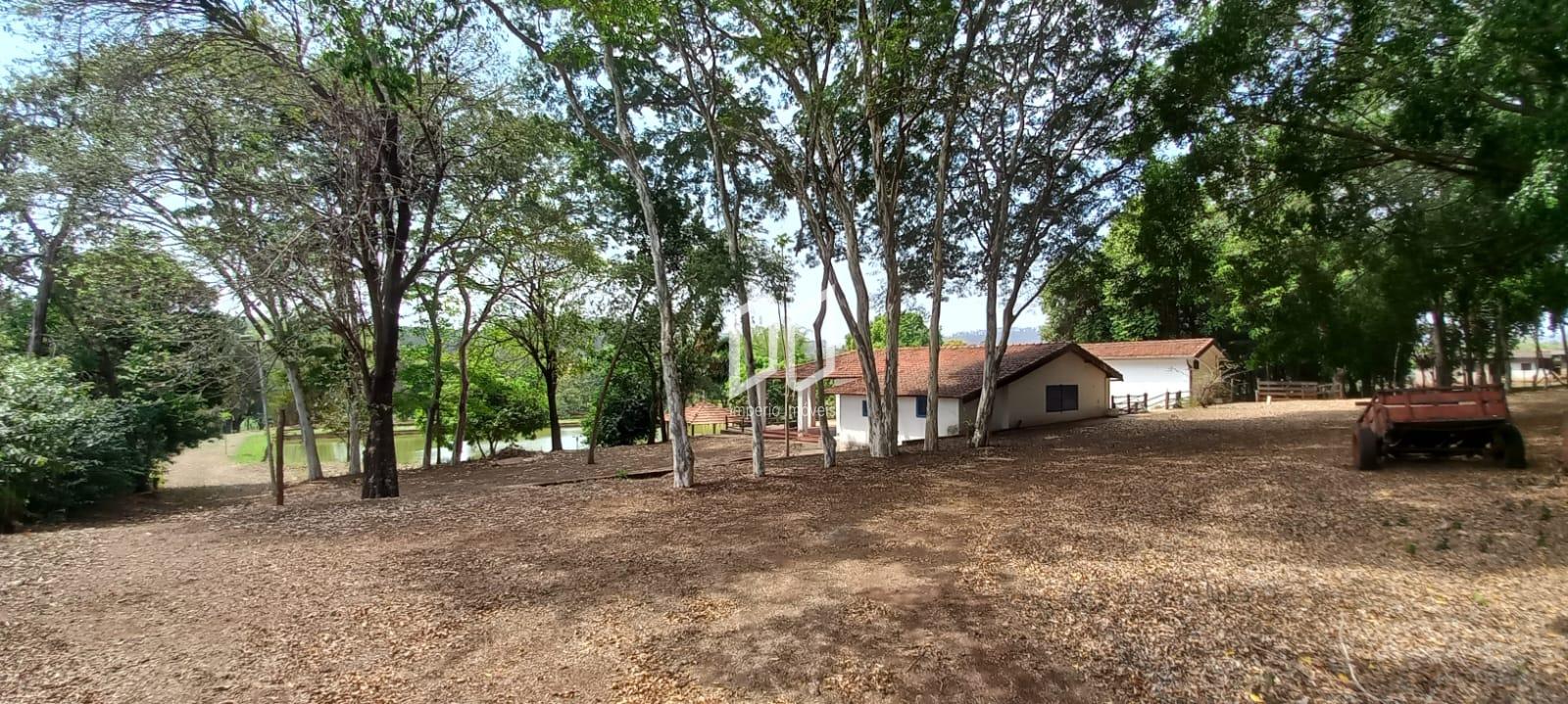 Fazenda à venda com 5 quartos, 800m² - Foto 17