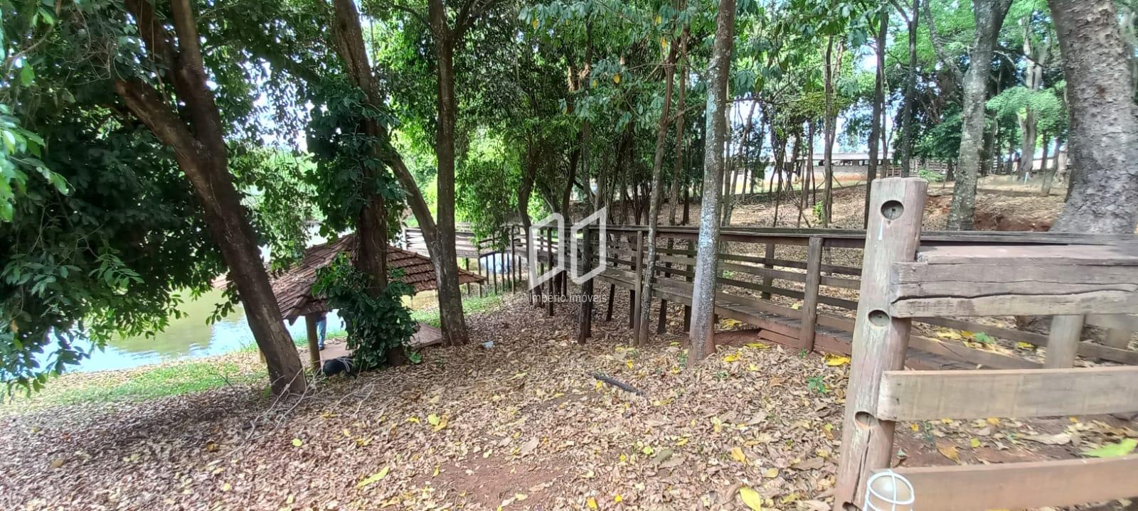 Fazenda à venda com 5 quartos, 800m² - Foto 50