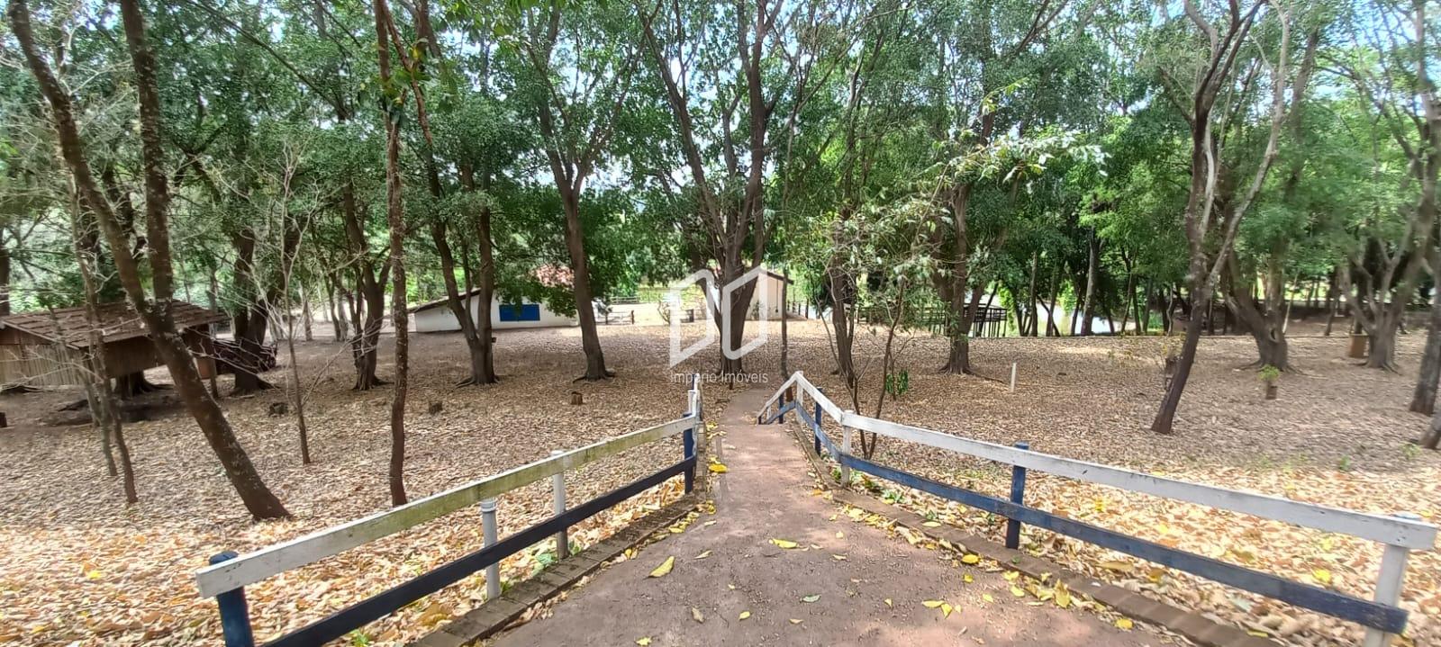 Fazenda à venda com 5 quartos, 800m² - Foto 53