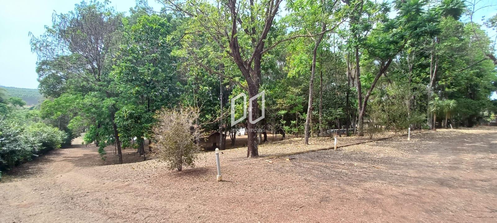 Fazenda à venda com 5 quartos, 800m² - Foto 64