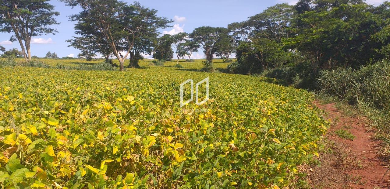 Fazenda à venda com 3 quartos, 300m² - Foto 6