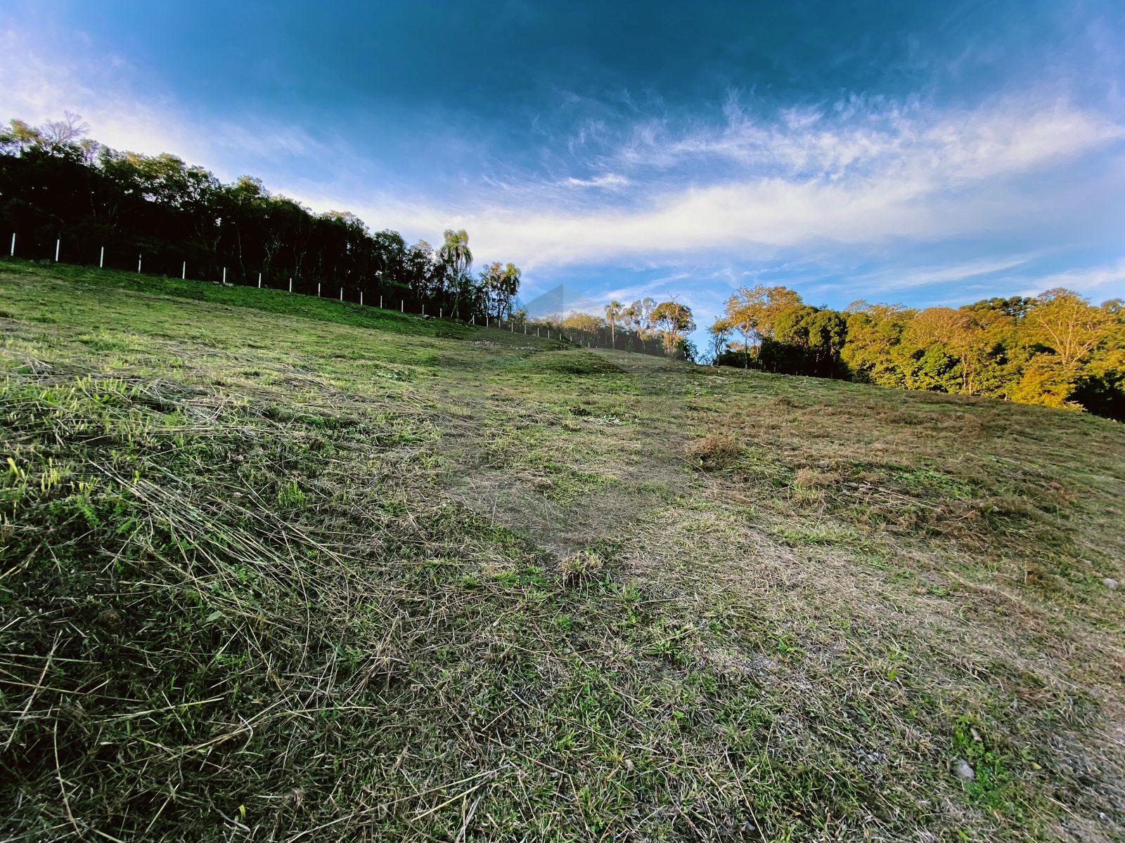 ÁREA DE TERRA COM 2 HECTARES NO VALEDOS VINHEDOS COM ÁRVORES F...