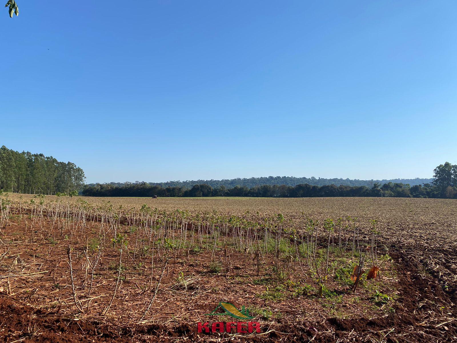 PROPRIEDADE Á VENDA - LINHA PORTO MOISÉS LUPION - CAPANEMA PR