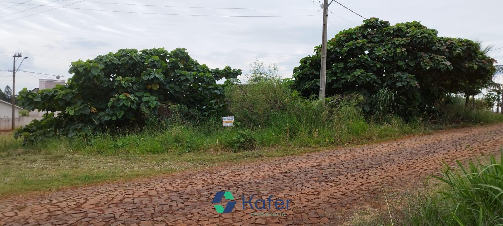 TERRENO Á VENDA - SANTA BÁRBARA - CAPANEMA PR