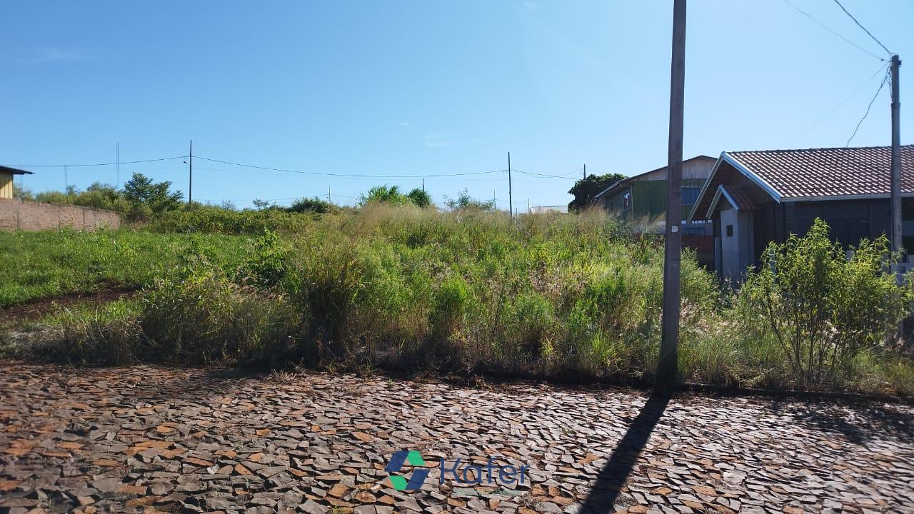 TERRENO Á VENDA - SANTA BARBARA - CAPANEMA PR