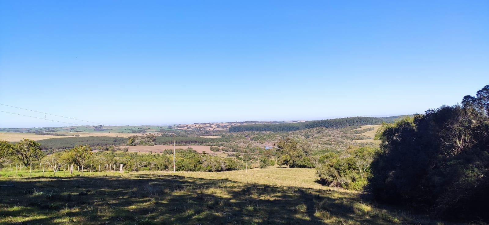 Chácara à venda, excelente p/ agricultura e pecuária, Alto Alegre, CERRITO - RS