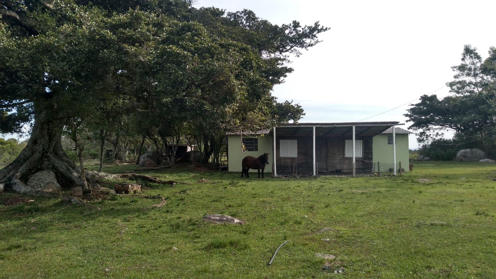 Sítio à venda, proximidades BR 293, Capela da Buena, CAPAO DO LEAO - RS