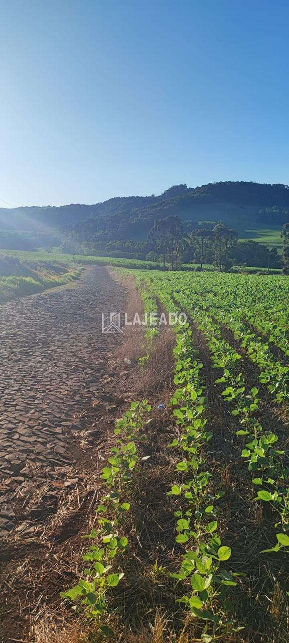 VENDE-SE ÁREA RURAL LOCALIZADA NA LINHA CONRADO, ZONA RURAL, D...