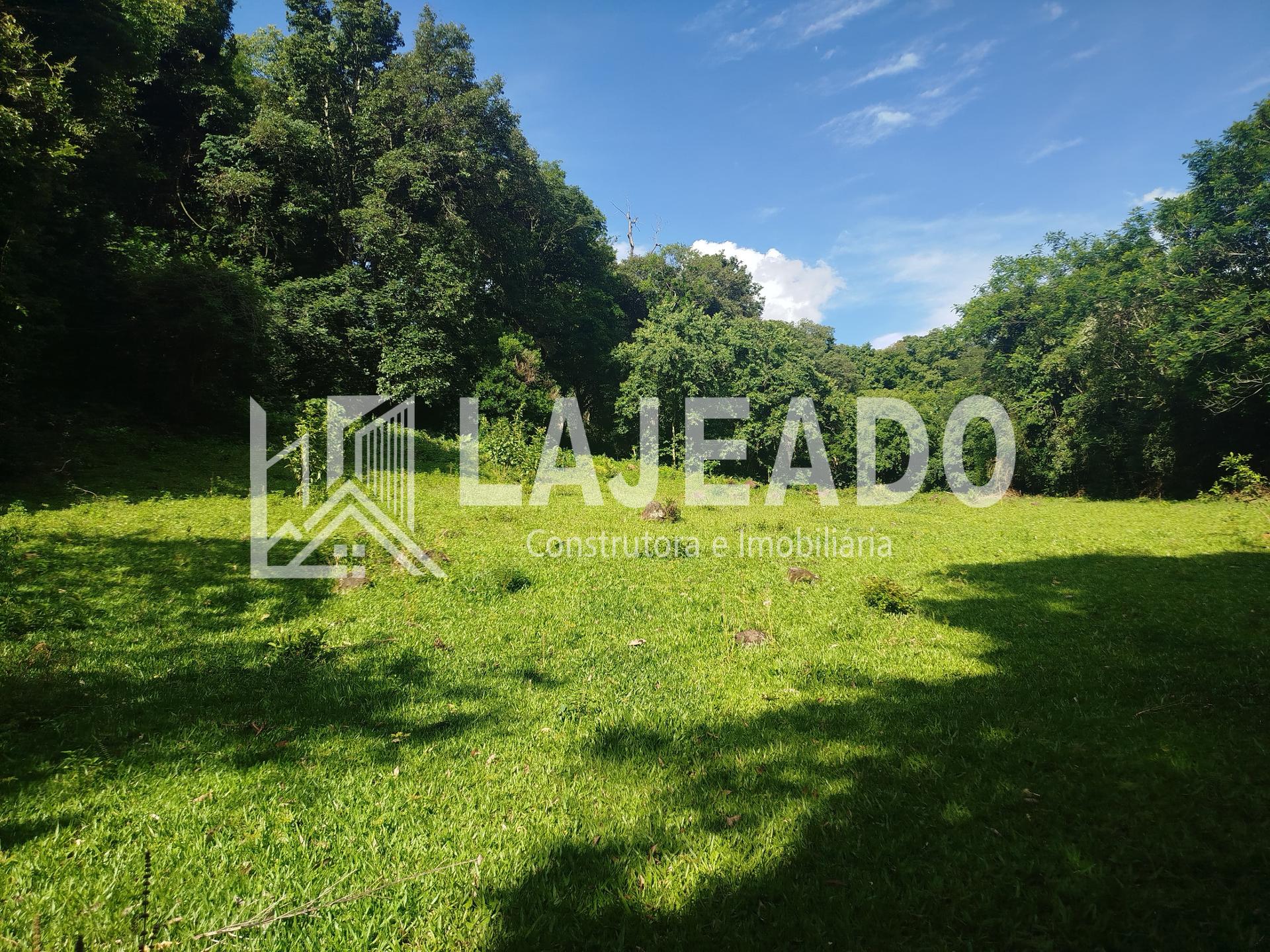 SÍTIO A VENDA NA COMUNIDADE DE  ALTO BELA VISTA, DOIS VIZINHOS...