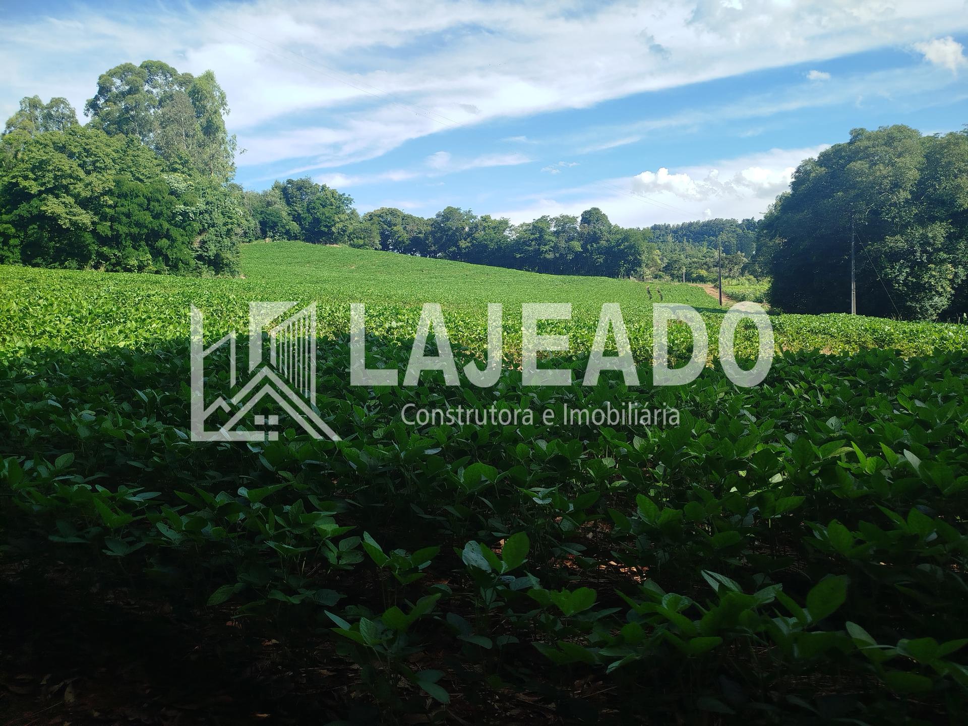 SÍTIO A VENDA NA COMUNIDADE DE  ALTO BELA VISTA, DOIS VIZINHOS...