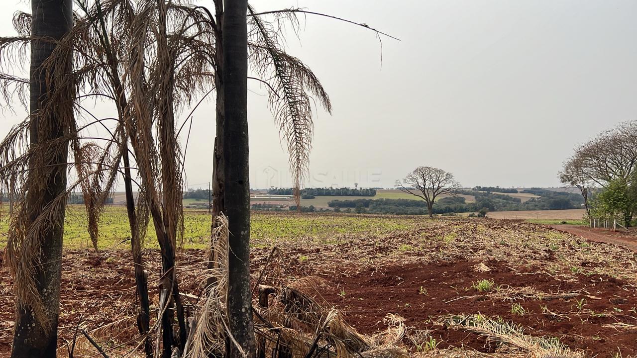 Chácara à venda, Área Rural, EM VILA NOVA   - PR