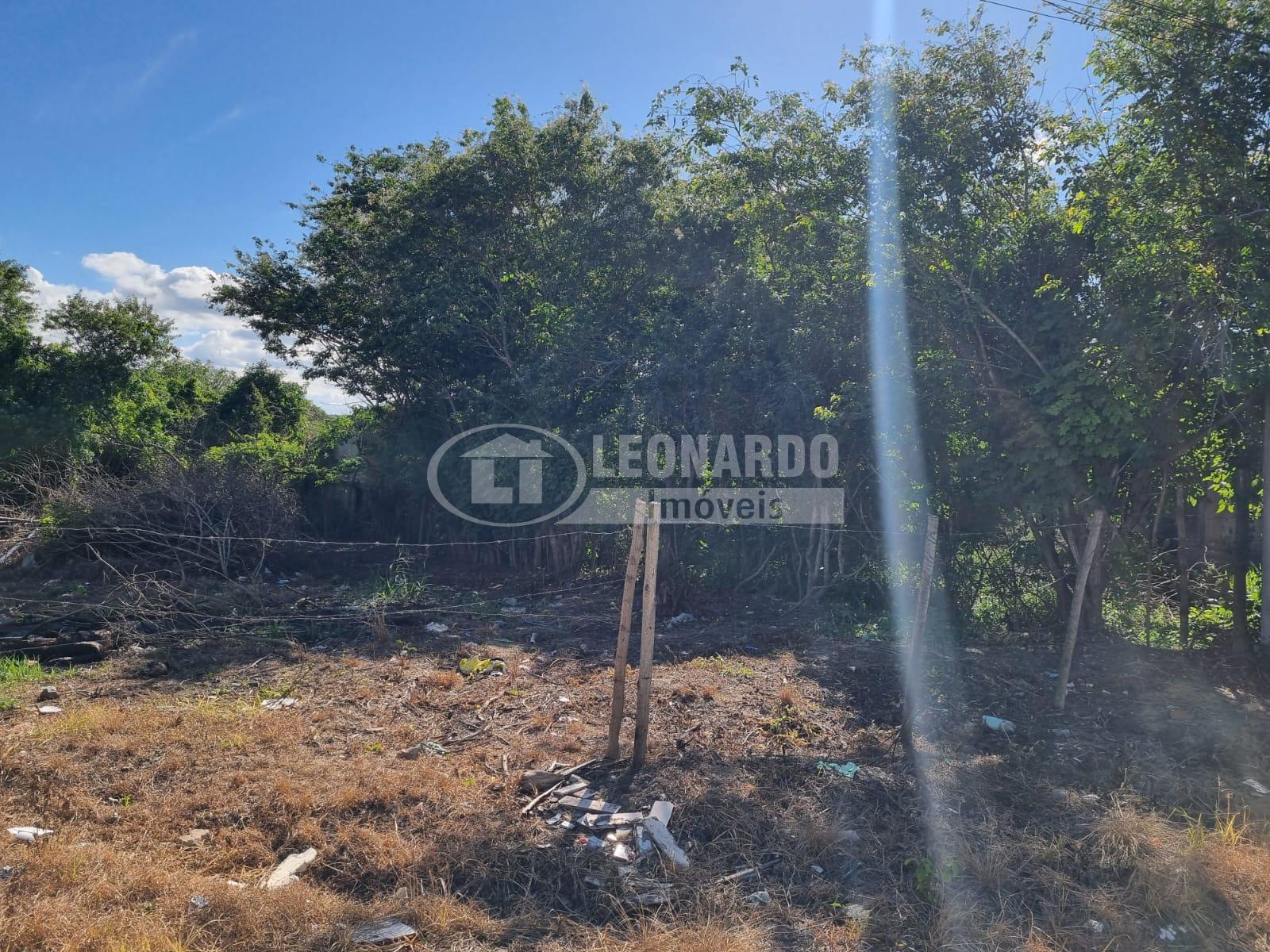 Leonardo Imveis 