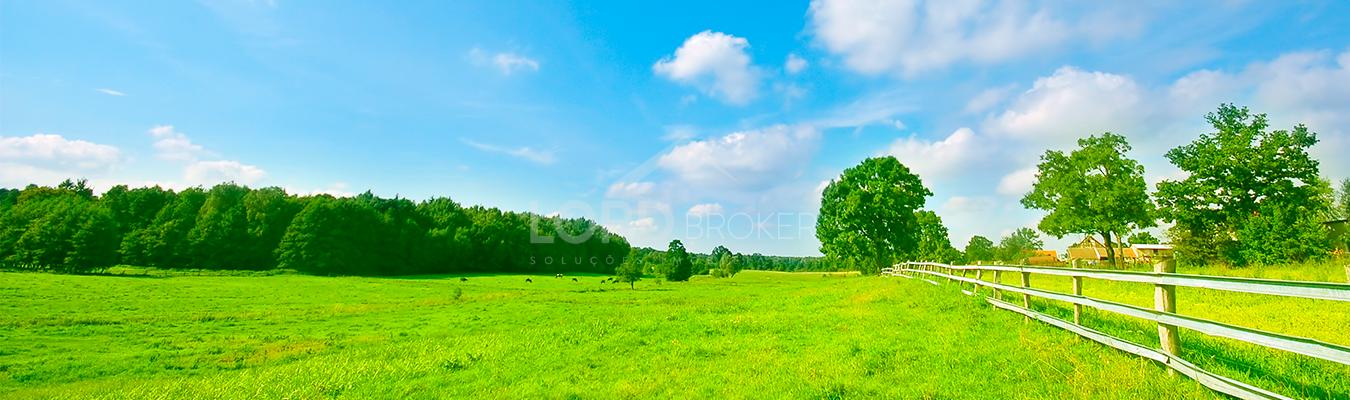 Fazenda à venda 540 Hectares, na região de Rosário Oeste em Ma...