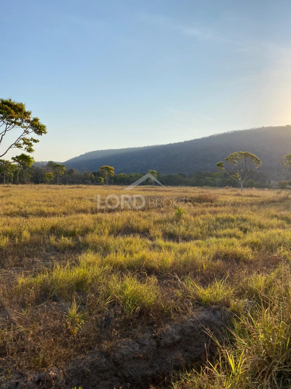 Fazenda ? venda em Bar?o de Melga?o, pr?xima a Serra de S?o Vi...