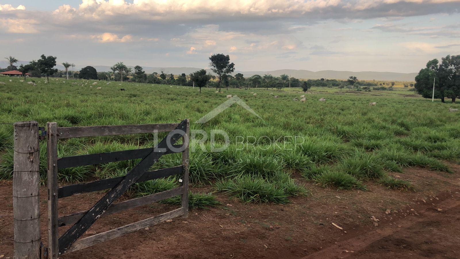 Fazenda à venda em Barão de Melgaço, próxima da Serra de São V...