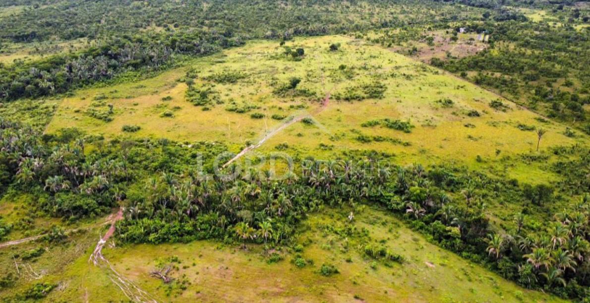 Fazenda ? venda em Agrovila com 97ha , pr?xima a Serra de S?o ...