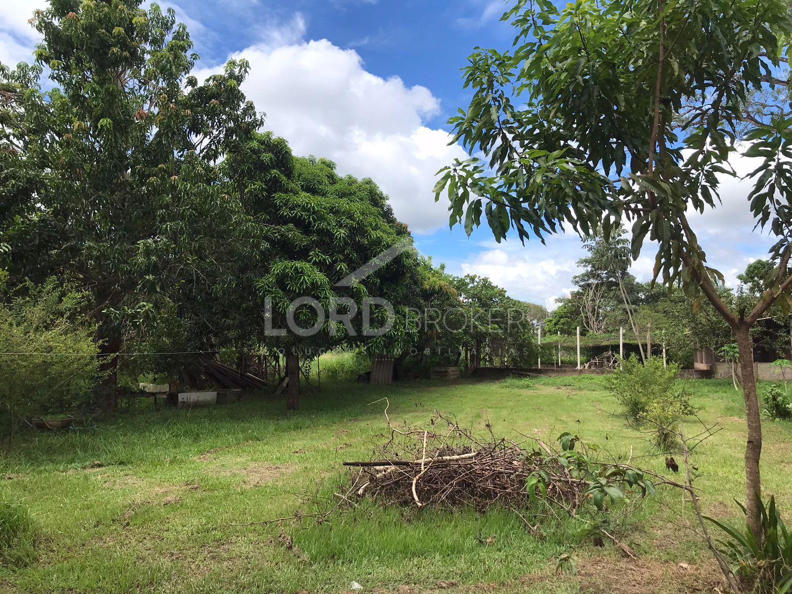 Fazenda ? venda com 93ha localizada a 2km de Santo Ant?nio do ...