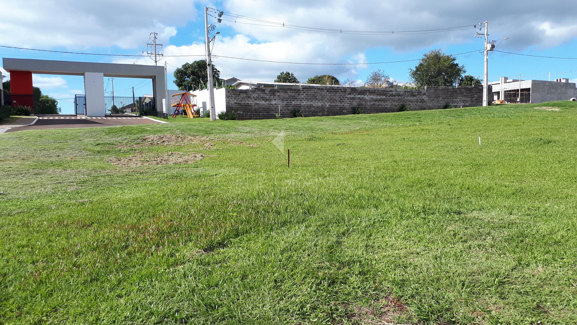 Lori P. Grando Corretor em Laranjeiras do Sul PR