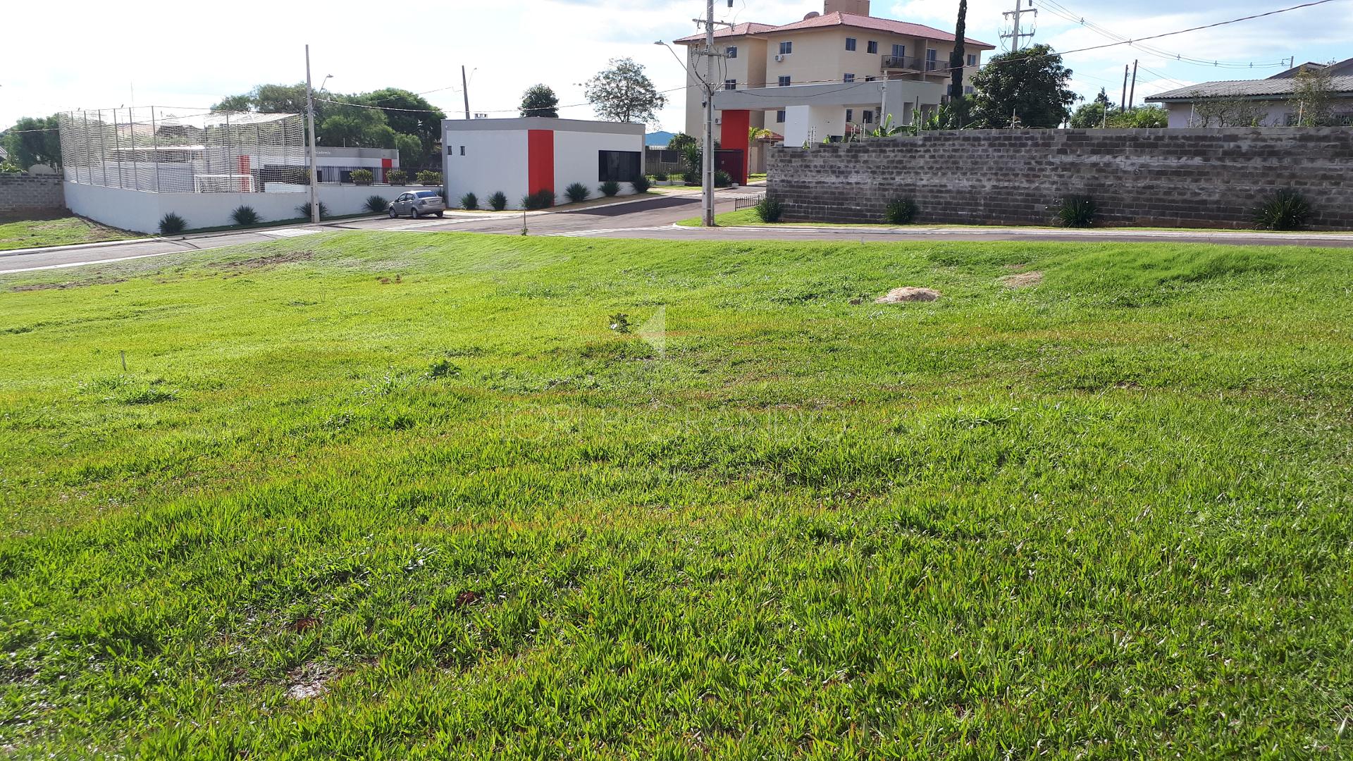 Lori P. Grando Corretor em Laranjeiras do Sul PR