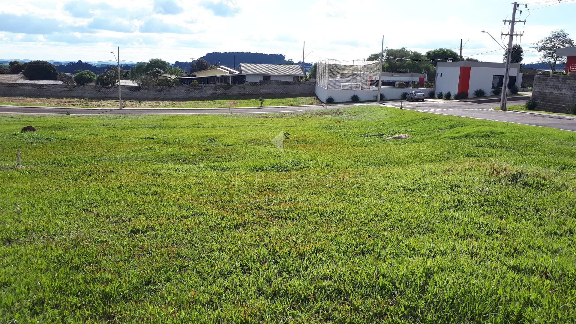 Lori P. Grando Corretor em Laranjeiras do Sul PR