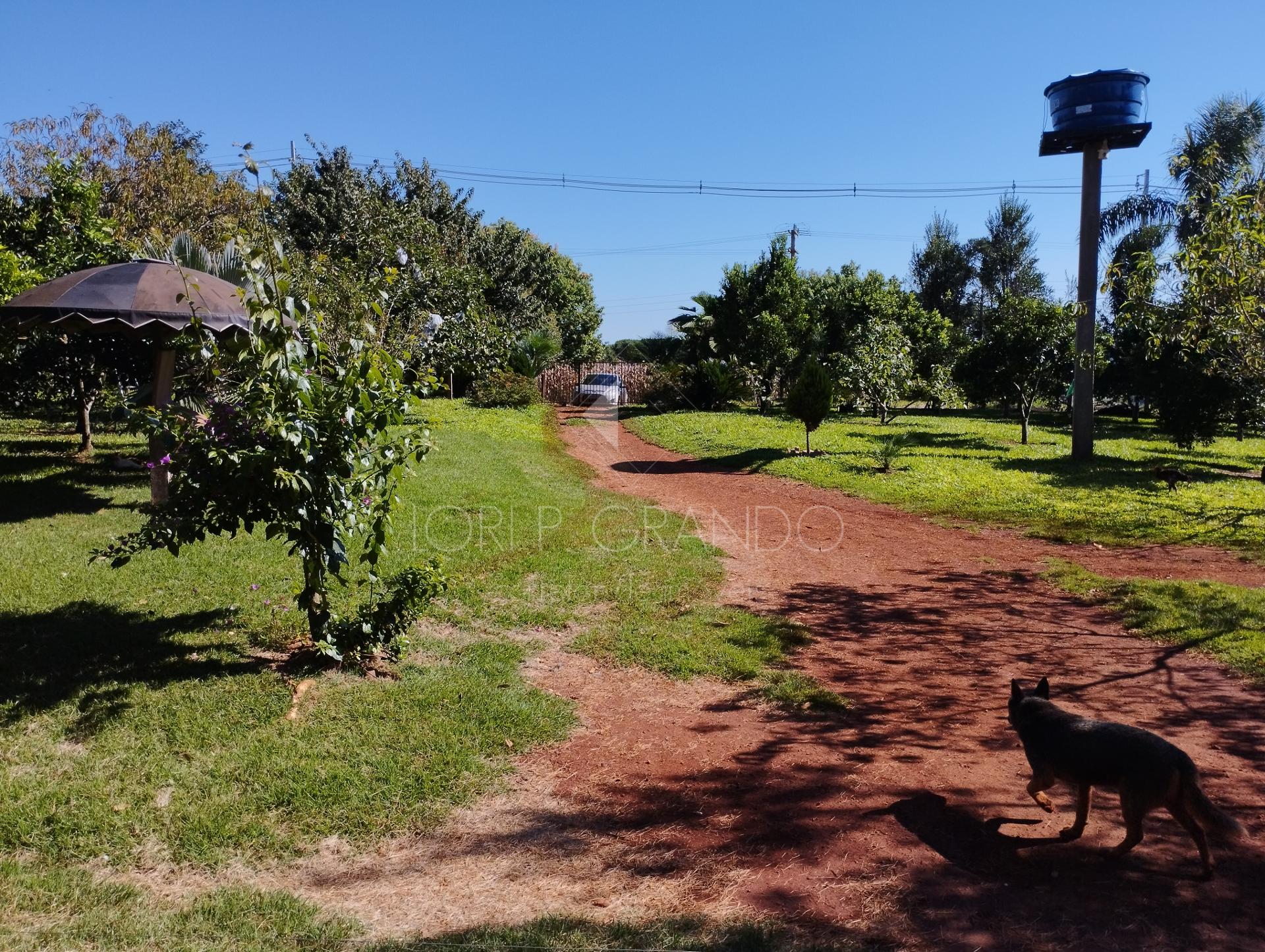 Lori P. Grando Corretor em Laranjeiras do Sul PR