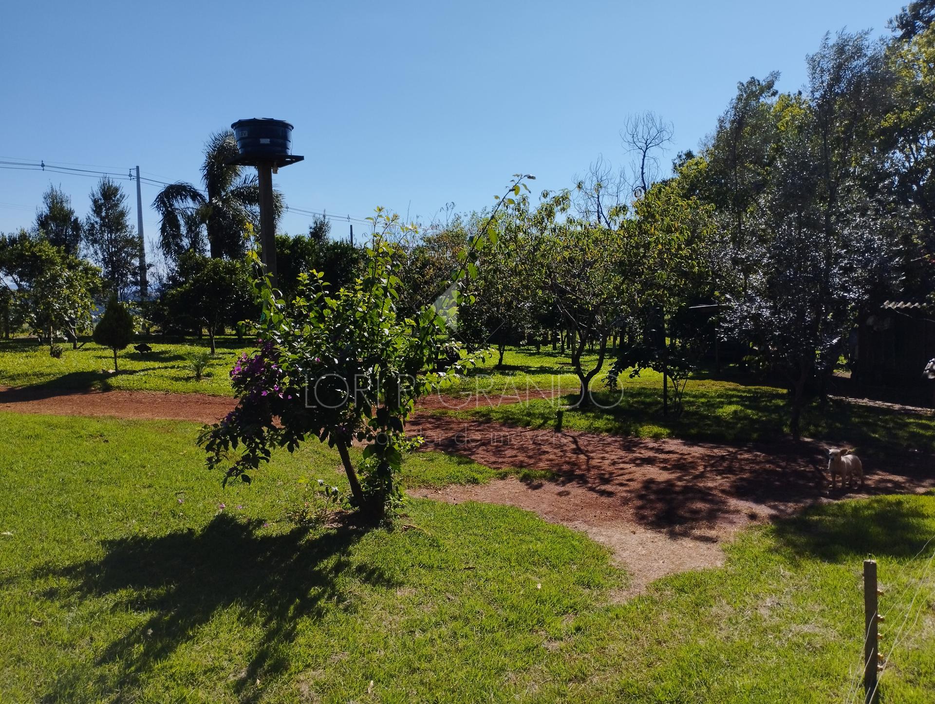 Lori P. Grando Corretor em Laranjeiras do Sul PR