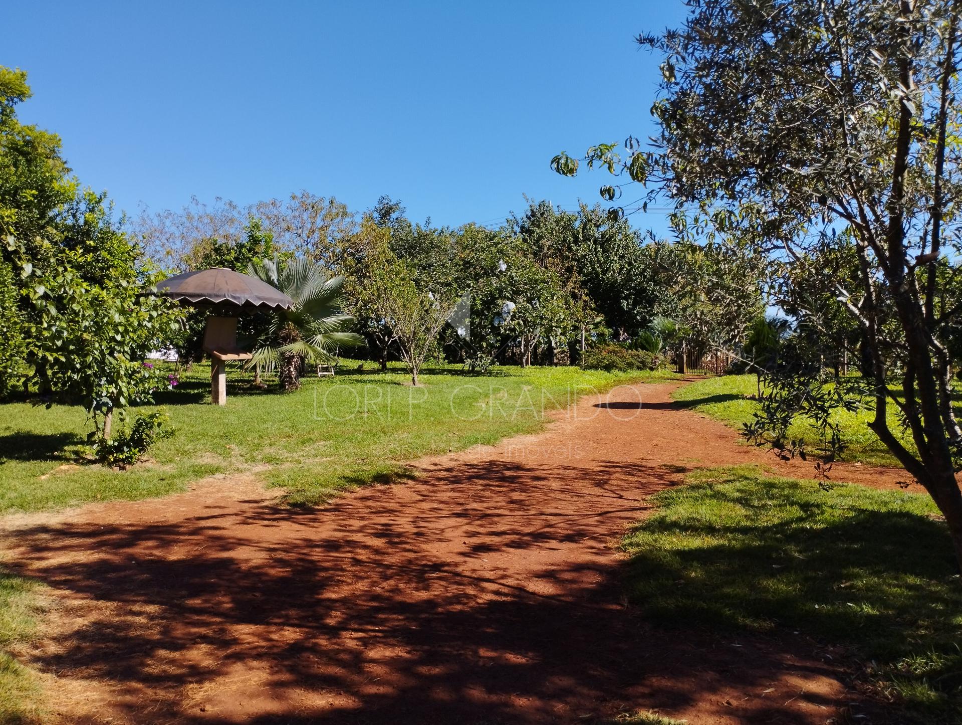 Lori P. Grando Corretor em Laranjeiras do Sul PR