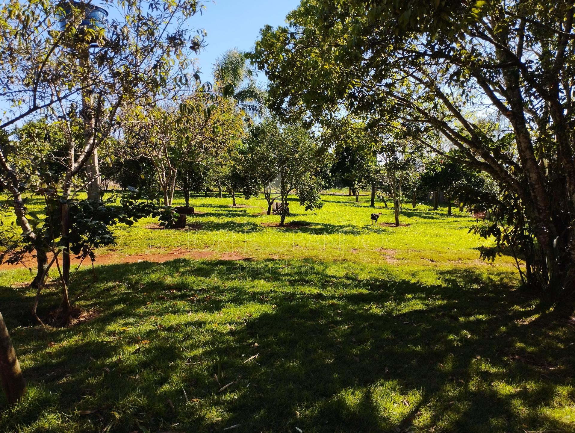 Lori P. Grando Corretor em Laranjeiras do Sul PR