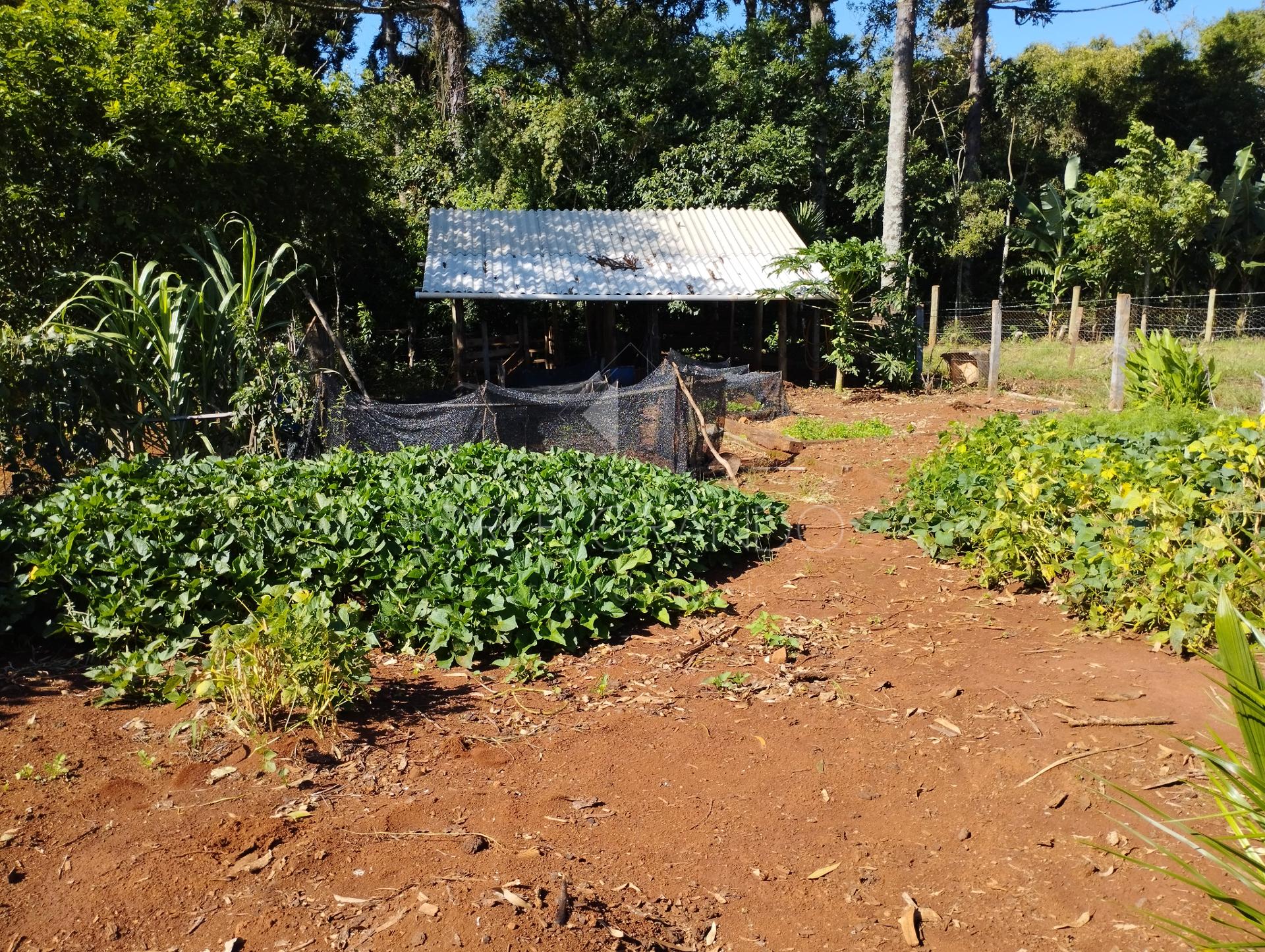 Lori P. Grando Corretor em Laranjeiras do Sul PR