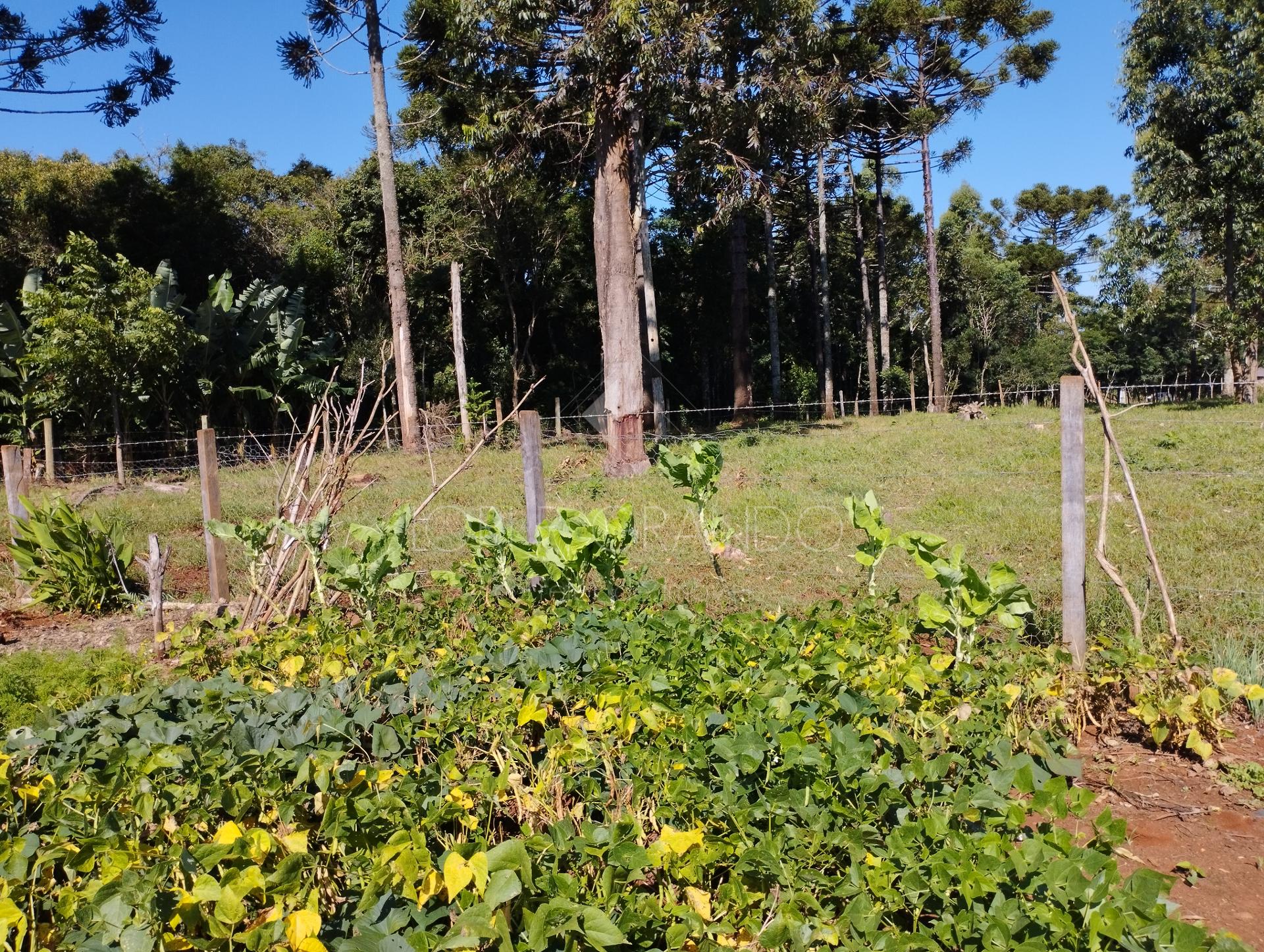 Lori P. Grando Corretor em Laranjeiras do Sul PR