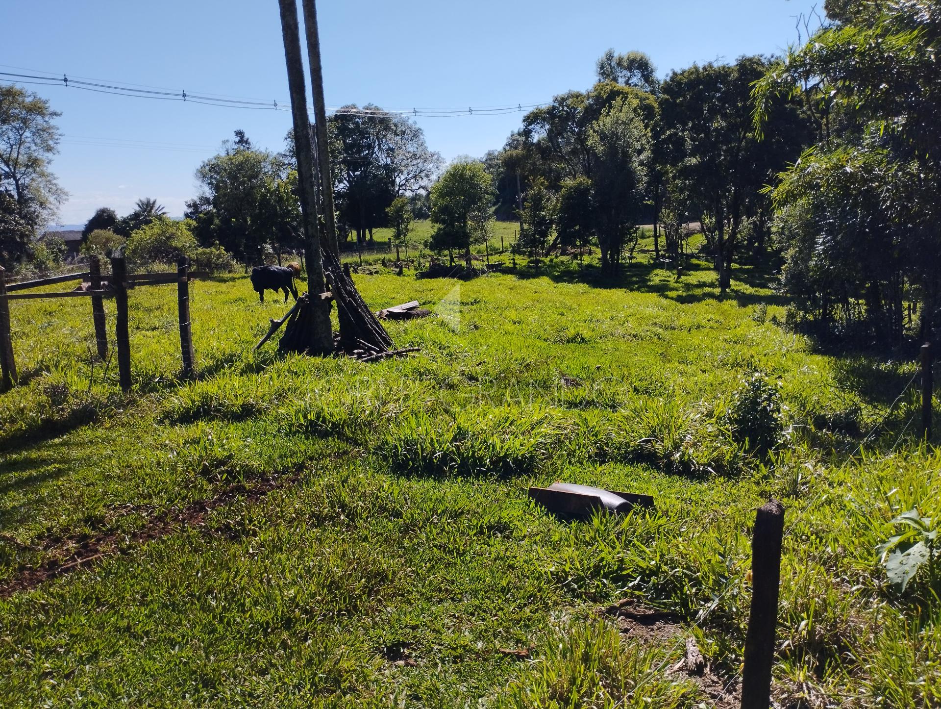 Lori P. Grando Corretor em Laranjeiras do Sul PR