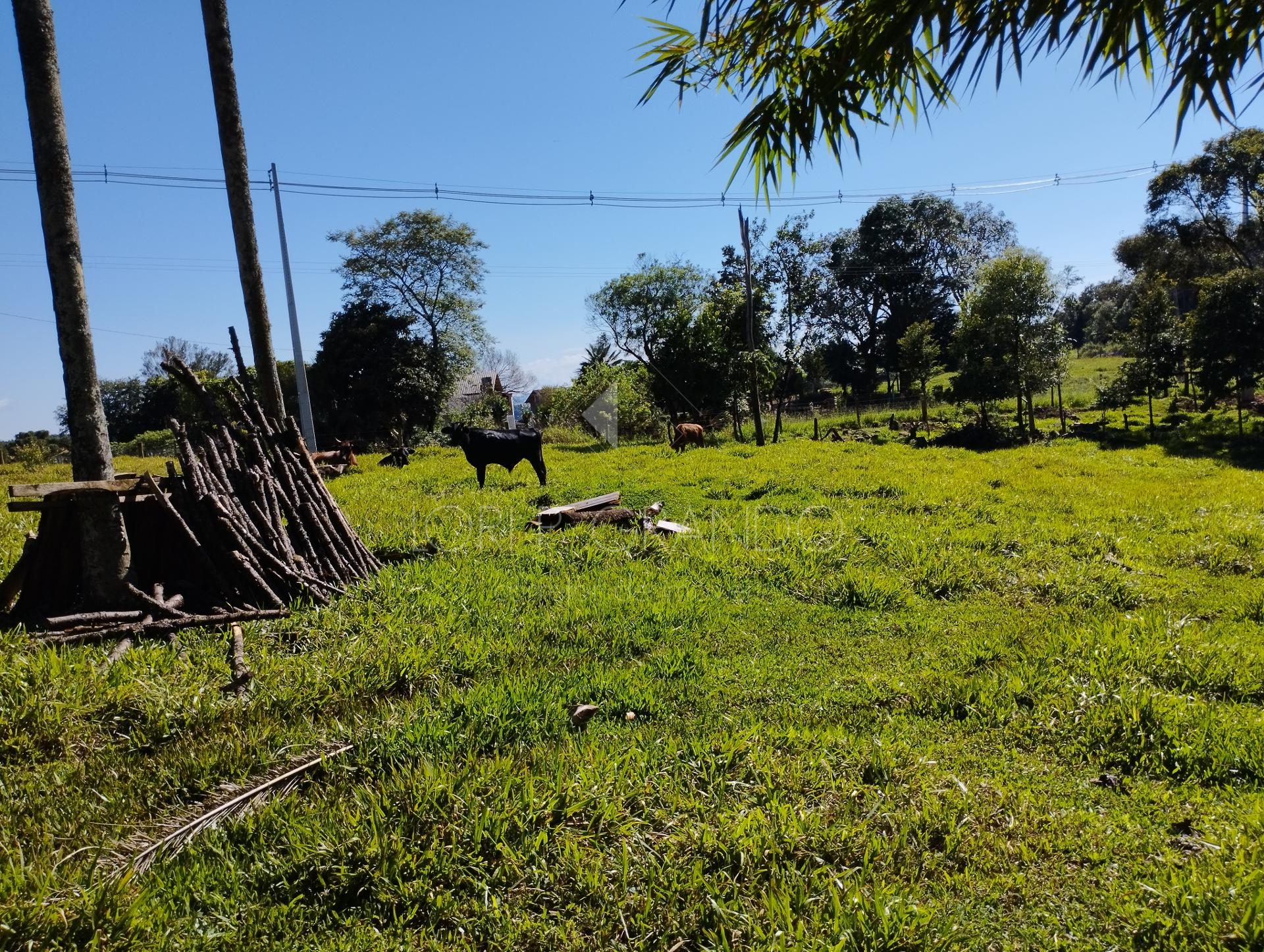 Lori P. Grando Corretor em Laranjeiras do Sul PR