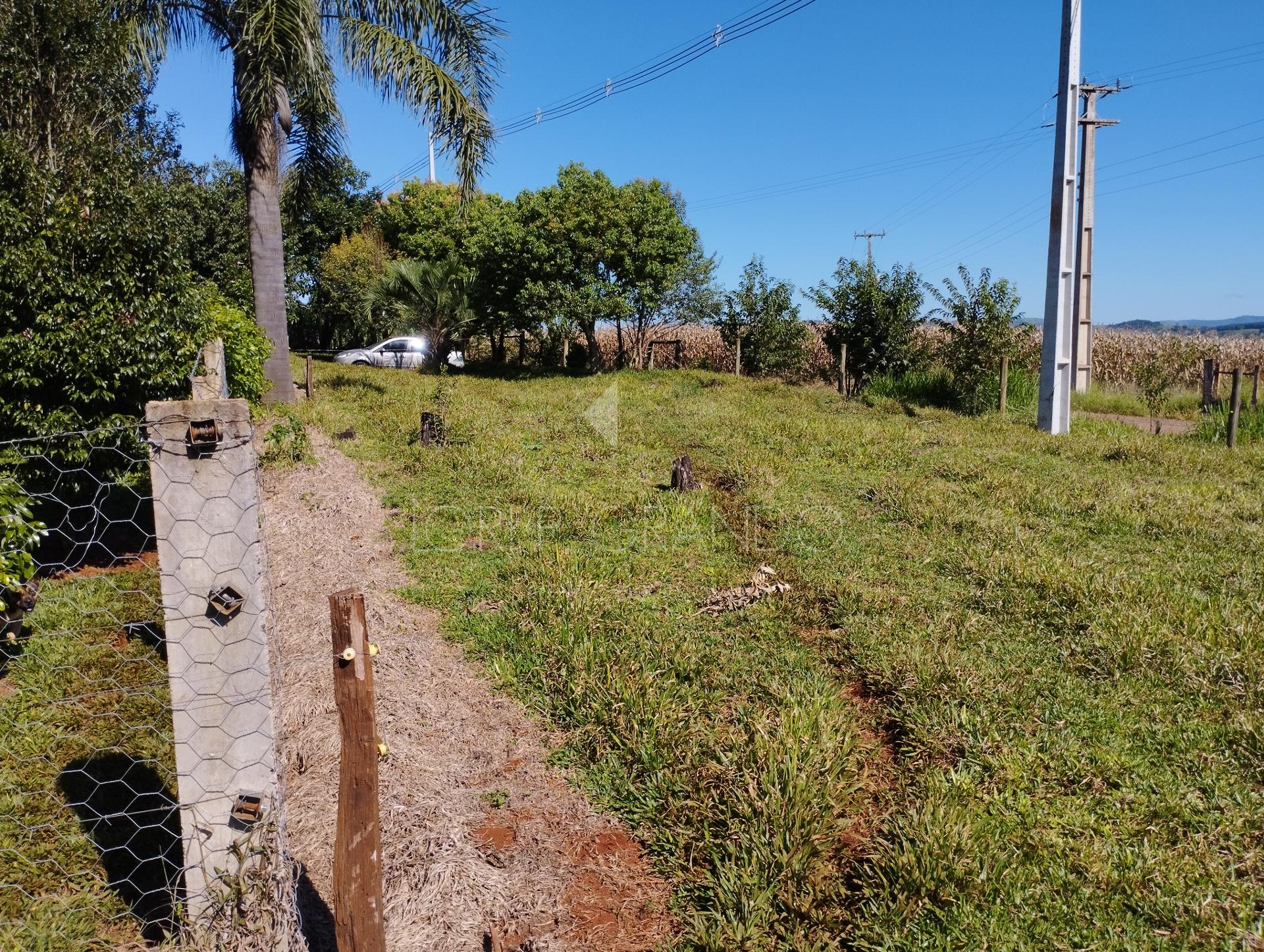 Lori P. Grando Corretor em Laranjeiras do Sul PR