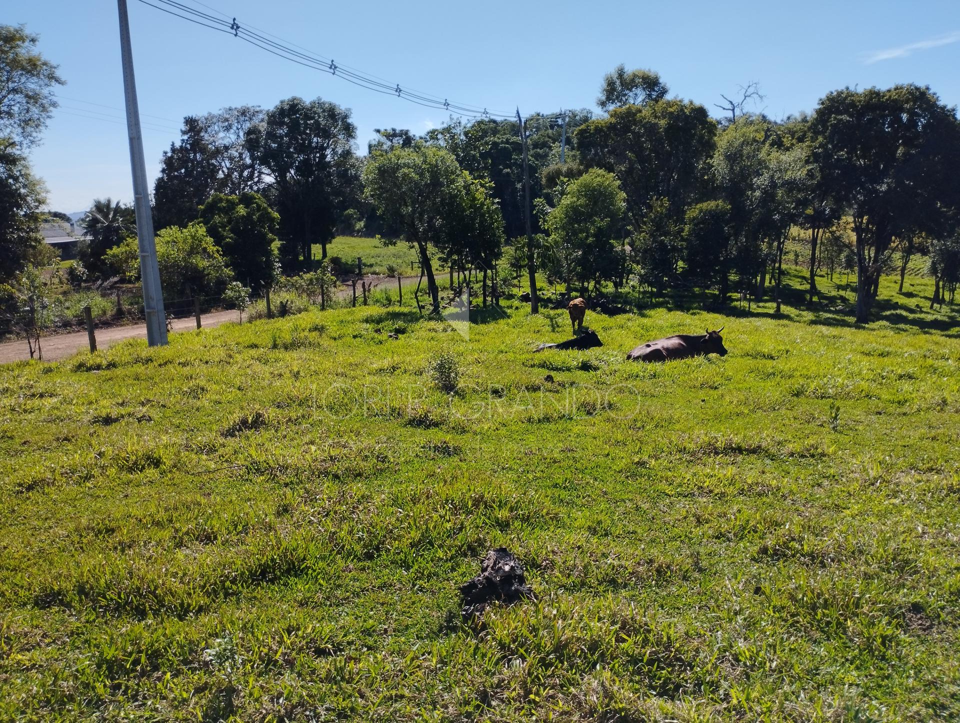 Lori P. Grando Corretor em Laranjeiras do Sul PR