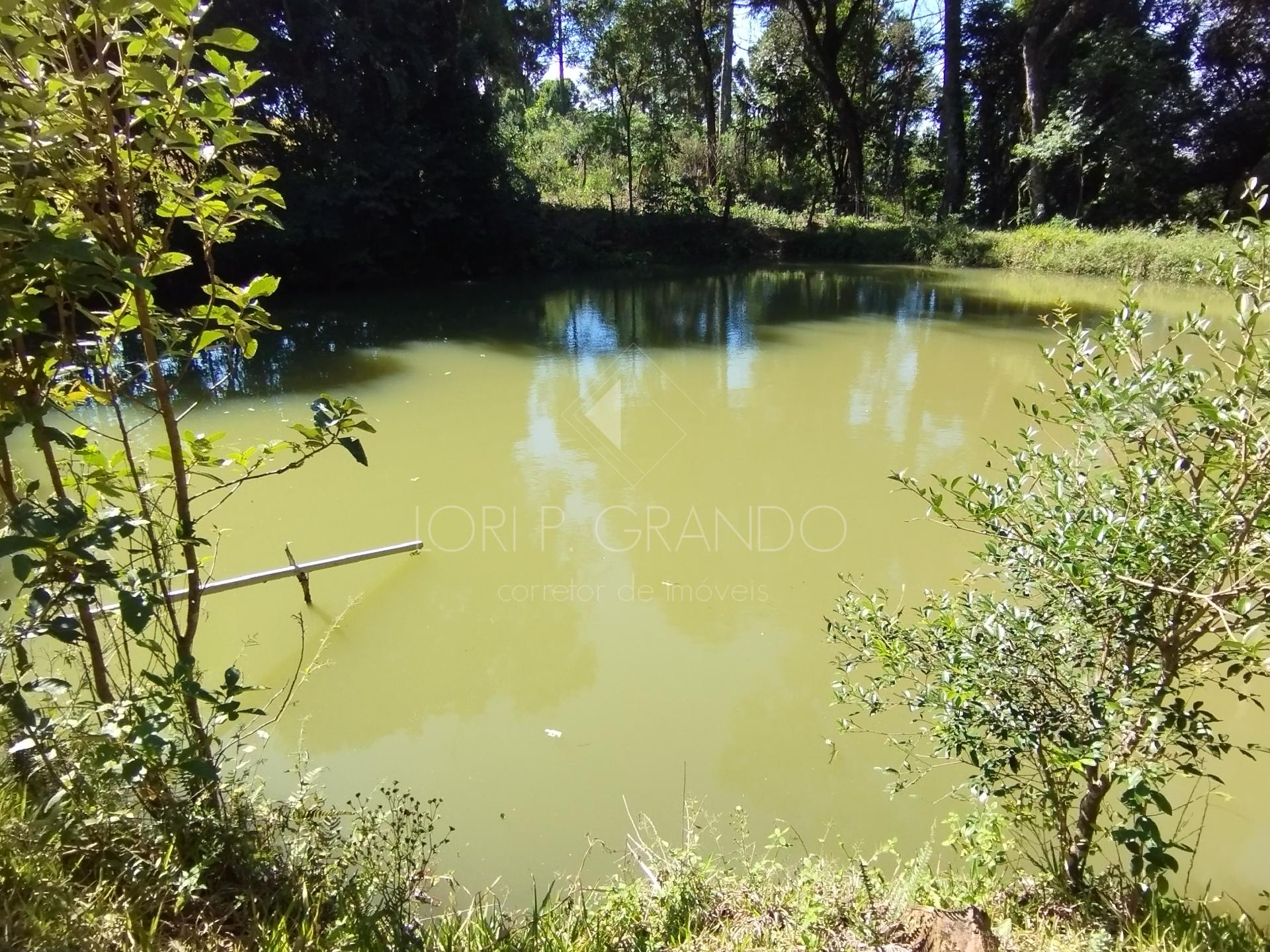 Lori P. Grando Corretor em Laranjeiras do Sul PR