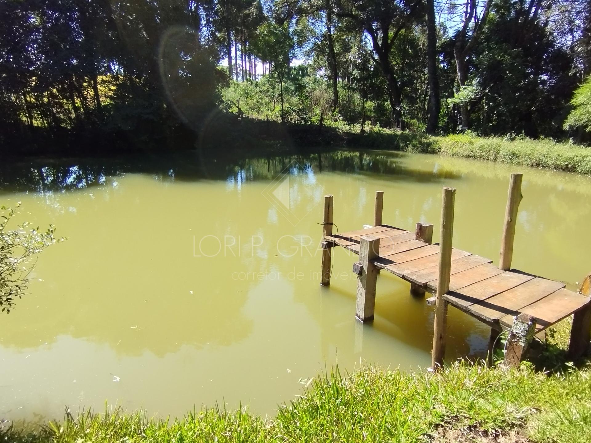 Lori P. Grando Corretor em Laranjeiras do Sul PR