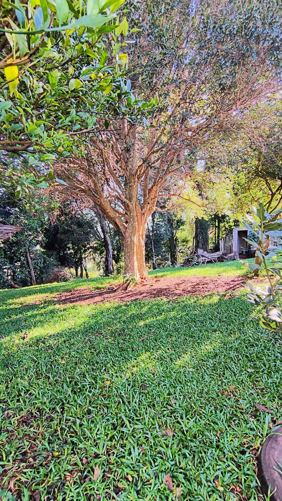 Lori P. Grando Corretor em Laranjeiras do Sul PR