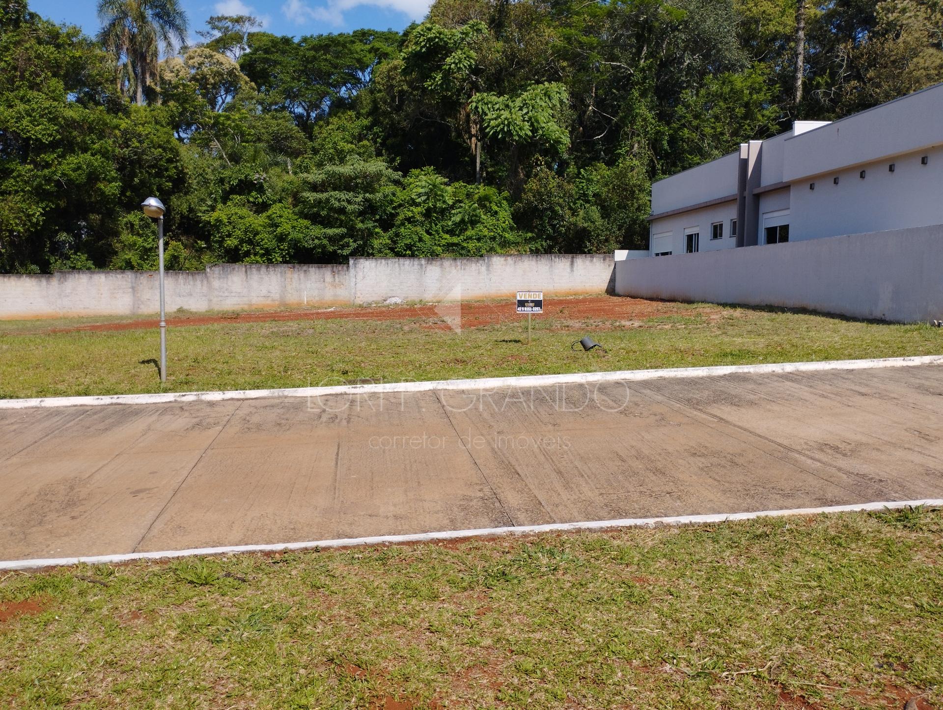 Lori P. Grando Corretor em Laranjeiras do Sul PR