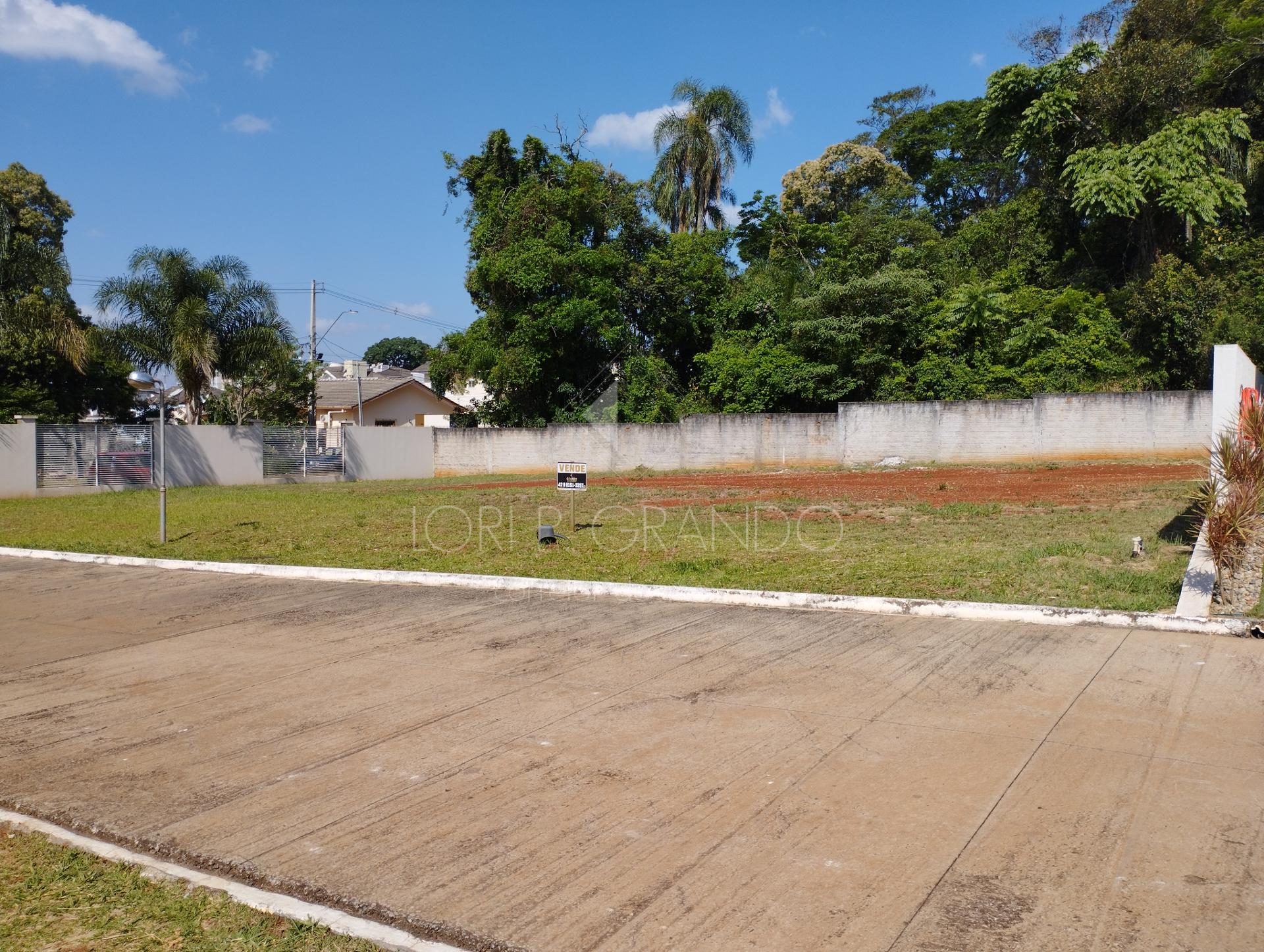 Lori P. Grando Corretor em Laranjeiras do Sul PR