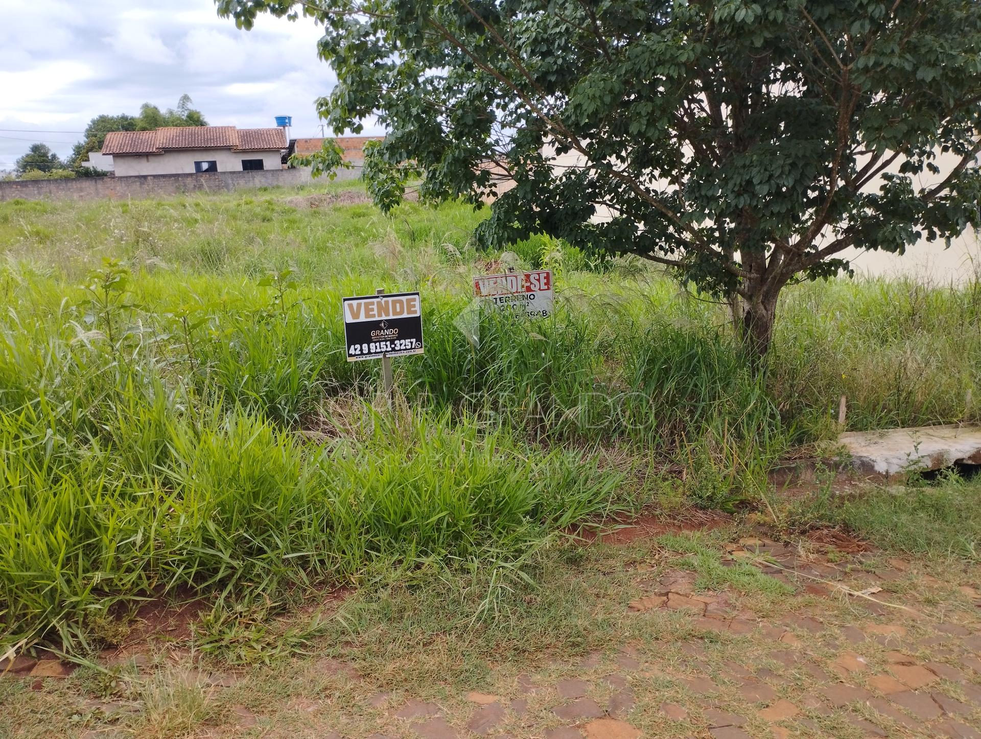 Lote  venda, So Francisco, LARANJEIRAS DO SUL - PR