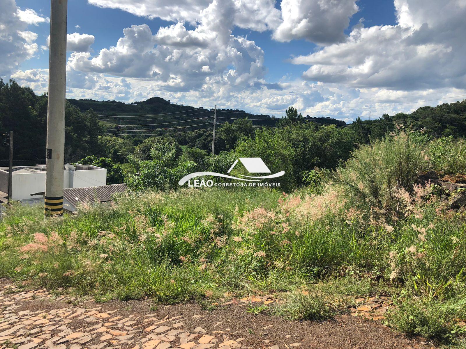 Lote Bairro  ÁGUA BRANCA