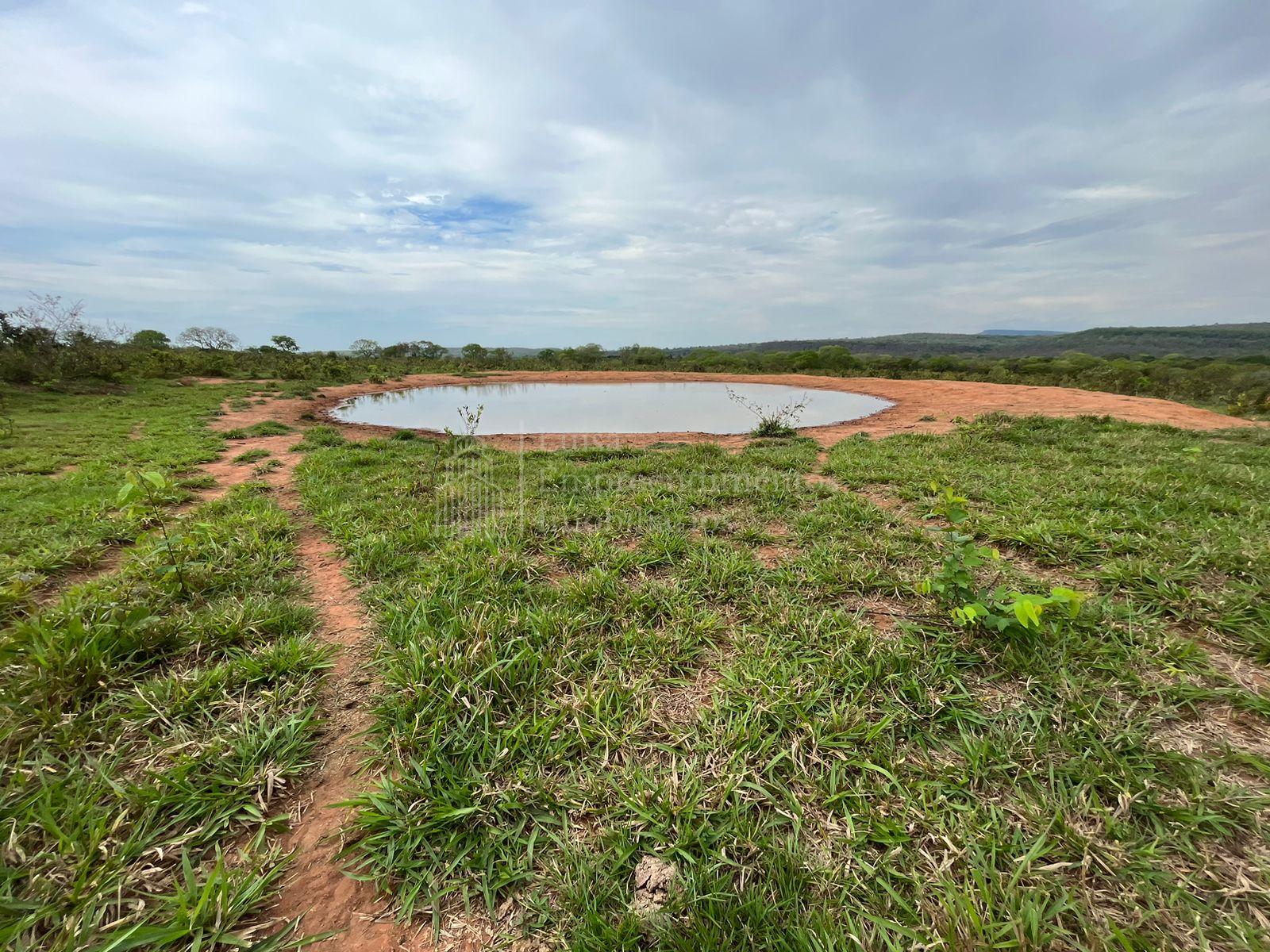 FAZENDA À VENDA, ZONA RURAL - CENTRO, MUNICIPIO DE CORGUINHO - MS